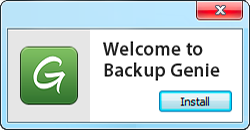 Launch the BackupGenie installer by clicking on yes